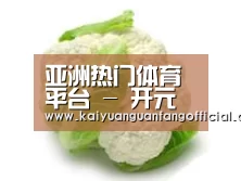 产品名称九