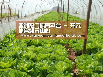 种植基地五