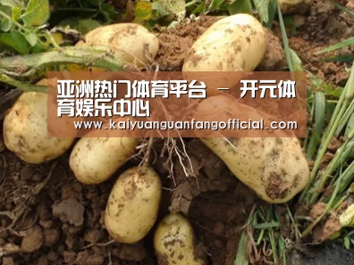 种植基地六