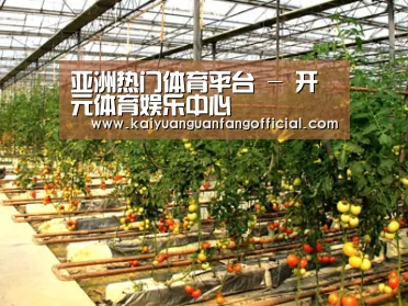 种植基地二