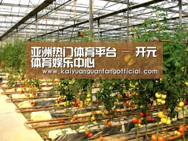 种植基地二(图1)