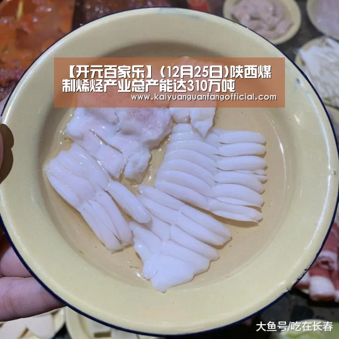 【开元百家乐】(12月25日)陕西煤制烯烃产业总产能达310万吨(图2) 开元百家乐