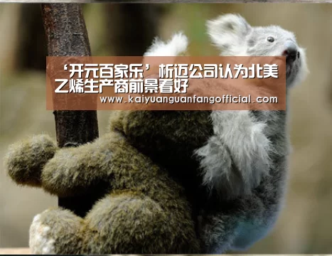 开元官方